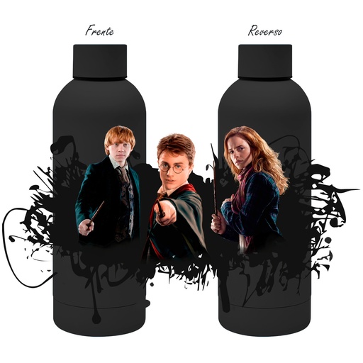Termo Harry Potter